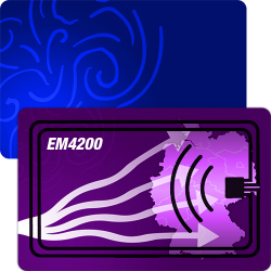 RFID Chipkarte mit EM4200 Chip