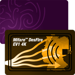 Mifare™ DesFire 4K RFID Plastikkarten